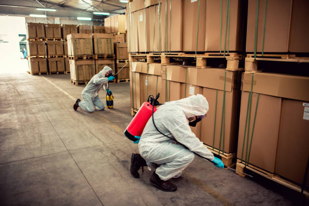Best Commercial Pest Control Services  in Gamerco, NM