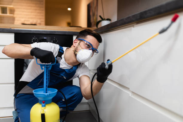 Best Termite Control Services  in Gamerco, NM