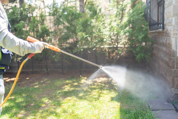 Best Exterminator Services  in Gamerco, NM