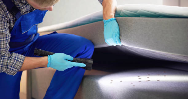 Best Residential Pest Control  in Gamerco, NM