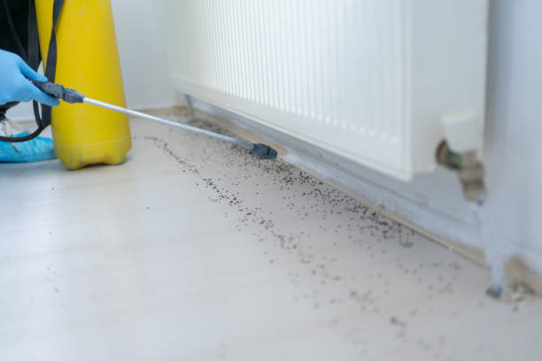 Trusted Gamerco, NM Pest Control Experts