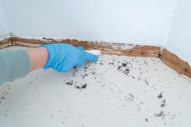 Best Wildlife Control Services  in Gamerco, NM