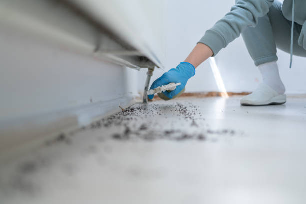 Best Cockroach Control Services  in Gamerco, NM
