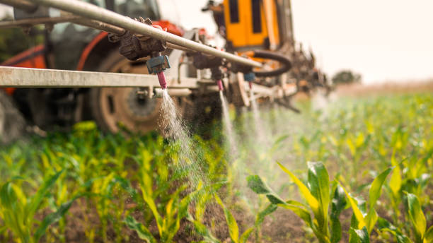 Best Mosquito Control Services  in Gamerco, NM